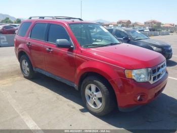  Salvage Ford Escape