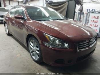  Salvage Nissan Maxima