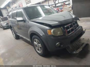  Salvage Ford Escape