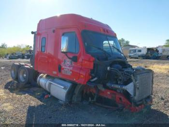  Salvage Freightliner Cascadia 113