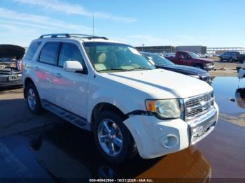  Salvage Ford Escape