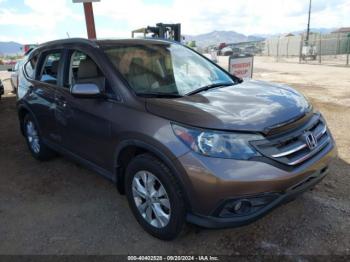  Salvage Honda CR-V