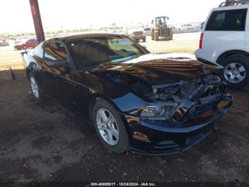  Salvage Ford Mustang