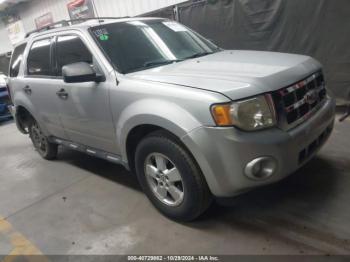  Salvage Ford Escape