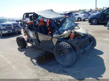  Salvage Polaris RZR