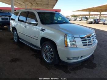  Salvage Cadillac Escalade