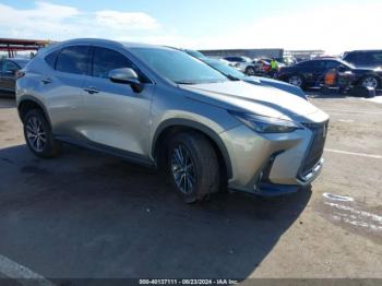  Salvage Lexus NX