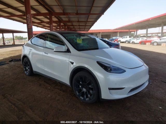  Salvage Tesla Model Y