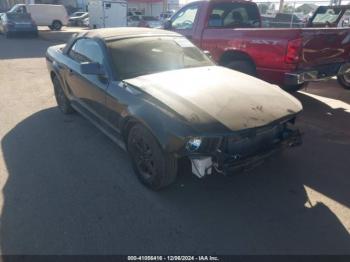  Salvage Ford Mustang