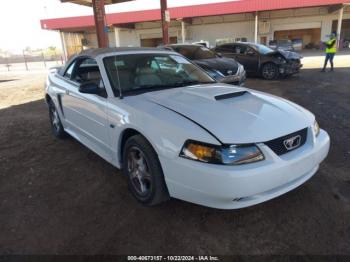  Salvage Ford Mustang