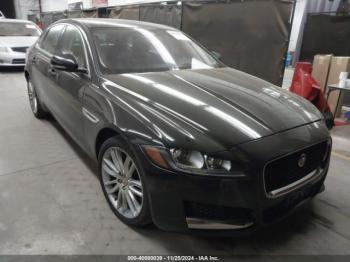  Salvage Jaguar XF