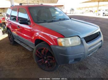  Salvage Ford Escape