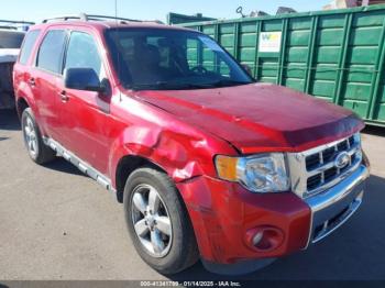  Salvage Ford Escape