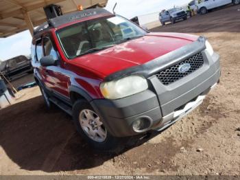  Salvage Ford Escape