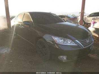  Salvage Lexus Es