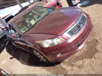  Salvage Honda Accord