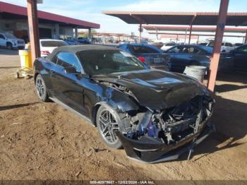  Salvage Ford Mustang