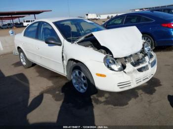  Salvage Dodge Neon