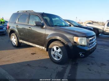  Salvage Ford Escape