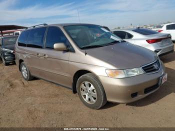  Salvage Honda Odyssey