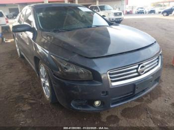  Salvage Nissan Maxima