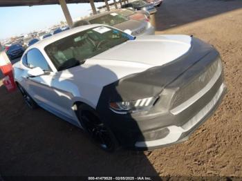  Salvage Ford Mustang