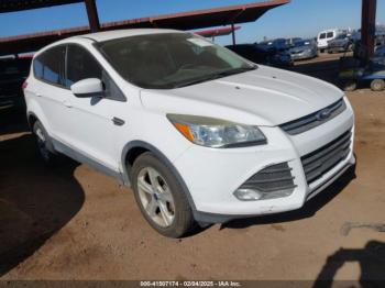  Salvage Ford Escape