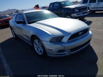  Salvage Ford Mustang