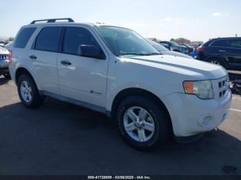  Salvage Ford Escape