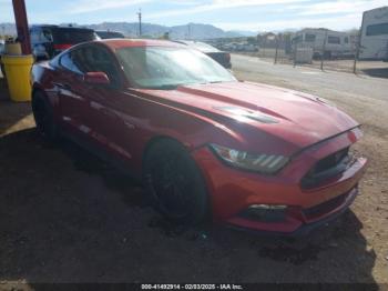  Salvage Ford Mustang