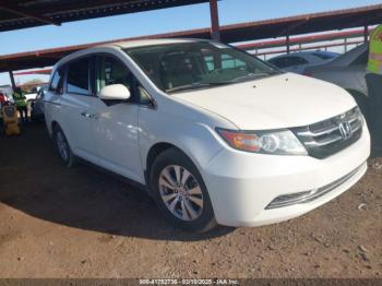  Salvage Honda Odyssey