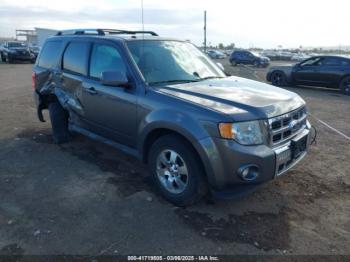  Salvage Ford Escape