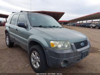  Salvage Ford Escape