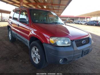  Salvage Ford Escape