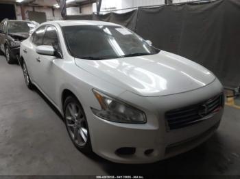  Salvage Nissan Maxima