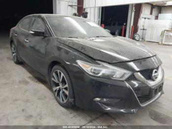  Salvage Nissan Maxima