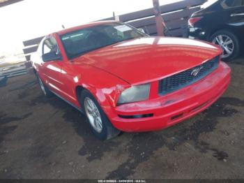  Salvage Ford Mustang