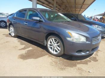  Salvage Nissan Maxima