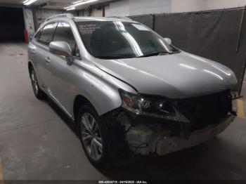  Salvage Lexus RX