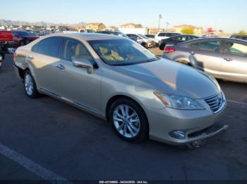  Salvage Lexus Es