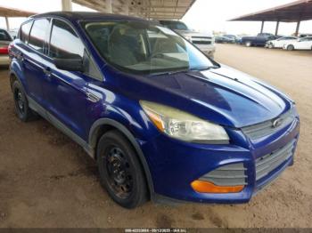  Salvage Ford Escape