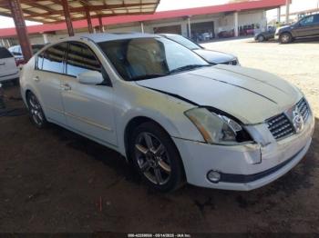  Salvage Nissan Maxima