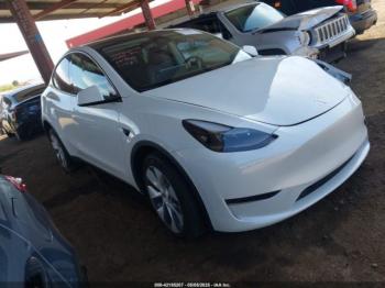  Salvage Tesla Model Y