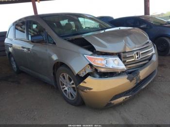 Salvage Honda Odyssey