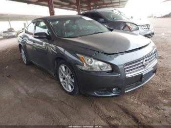  Salvage Nissan Maxima