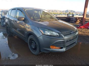  Salvage Ford Escape