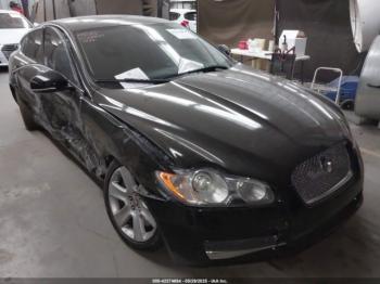  Salvage Jaguar XF