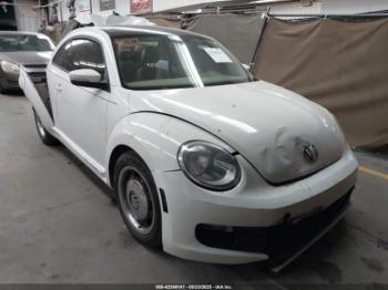  Salvage Volkswagen Beetle