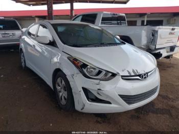  Salvage Hyundai ELANTRA