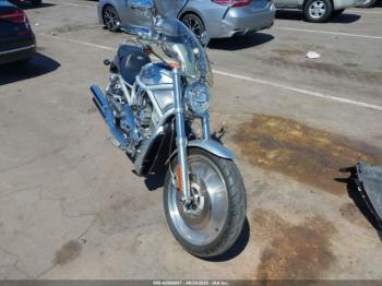  Salvage Harley-Davidson Vrsca